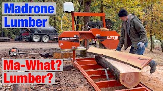 Does Madrone Make Good Lumber Lets Find Out on Woodmizer LT15 Sawmill [upl. by Aloisius]