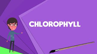 What is Chlorophyll Explain Chlorophyll Define Chlorophyll Meaning of Chlorophyll [upl. by Namsaj250]