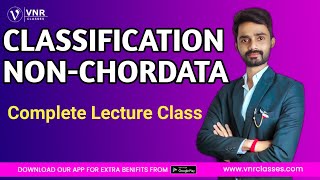 Classification of NonChordata  BSc1st Year Zoology PaperI Chordata  Prahalad Sir [upl. by Janenna]