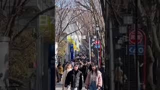 Fashion Street Omotesando Japan [upl. by Anayk]