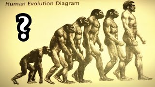 Die harten Fakten über die Evolutionstheorie [upl. by Efar]