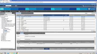 Gestione TeamSystem DMS [upl. by Phippen]