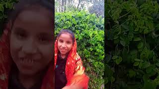 kerwa ke patwa par । Cutekomaldance cutekomaldance chathpuja bhakti trending shorts reels [upl. by Eelarbed]