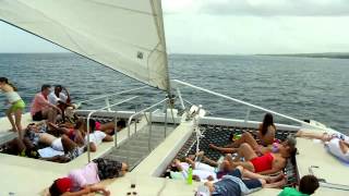 Tiami Catamaran Cruises Video  Barbados [upl. by Arlena]