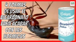 🔴 ¿CÓMO ELIMINAR Y ACABAR CON LAS HORMIGAS EN CASA PARA SIEMPRE 🔴 BICARBONATO PARA LAS HORMIGAS [upl. by Saxon]