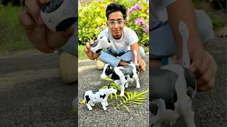 Big and Small Remote Control Cow🐄Testing🔥 [upl. by Yordan725]