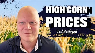 Corn Hasnt Been This High Since July Ted Seifried on RFDTV [upl. by Damalas292]