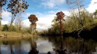 Nottoway and Meherrin river paddle trips 2015 [upl. by Trepur]