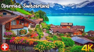 Oberried Switzerland walk in rain 4K  Most beautiful Swiss villages  rain ambience [upl. by Cruz]