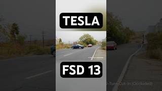 TESLAS FULL SELF DRIVING UPDATE tesla elonmusk fsd [upl. by Levey216]