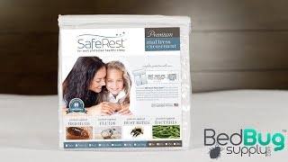 SafeRest Bed Bug Mattress Cover Review [upl. by Landing]