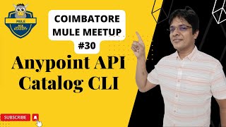 30 Anypoint API Catalog CLI [upl. by Neerak]