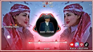 New Arabic Remix Song 2023  Arabic Song  Slowed Reverb  Bass Boosted  Arabic Remix Songs [upl. by Yatnoj]