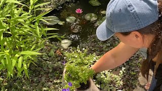 🪴 Patio Planting  How to Make Compost in Place 🪴 [upl. by Aeriell]