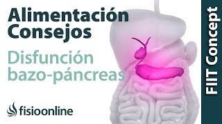 Alimentación nutrición y consejos dietéticos para la disfunción de bazopáncreas [upl. by Ennasus213]