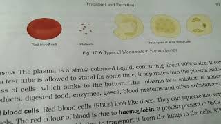 Class7th B and D GScience ChTransport and Excretion [upl. by Carvey]