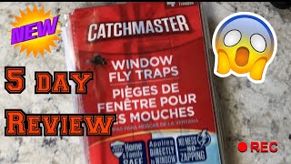 Catchmaster window fly trap  catcher review [upl. by Bastian]