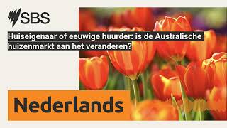 Huiseigenaar of eeuwige huurder is de Australische huizenmarkt aan het veranderen  SBS Dutch [upl. by Eentihw296]