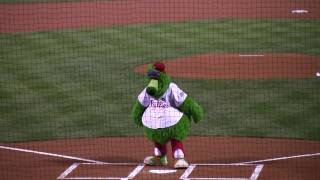 Phanatic impatient with umpires [upl. by Atnim]