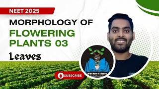 The Leaves  Plant Morphology 03  NEET 2025 [upl. by Herrick]