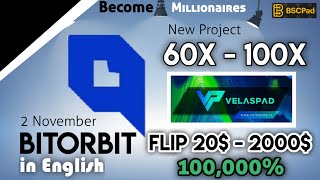 🔥Turn 20 Into 2000 BitOrbit 100X Launching on VelasPad amp BSCPad💲How to Buy [upl. by Sinclare]