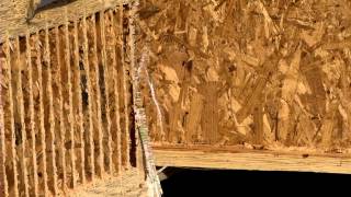 Overview Engineered Wood Products in Structural Systems for Residential Construction [upl. by Maryl439]