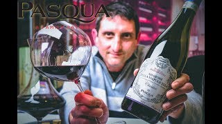 Pasqua Amarone della Valpolicella DOCG  Wine Reviews  Episode 28 [upl. by Worthy806]