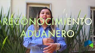 Reconocimiento Aduanero [upl. by Annohs]