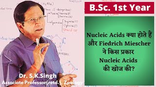 What Are Nucleic Acids  Biology  BSc 1st Year [upl. by Aneele289]