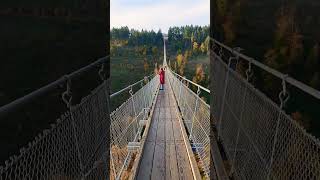 360 Meters Above Epic Views from Geierlay Bridge [upl. by Etana]