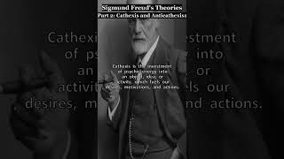 Freudian Theory Part 2 Cathexis and Anticathexis [upl. by Nawiat]