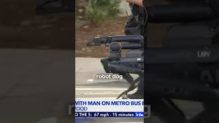 LAPD Robot Dog VS Bus Standoff Situation KTLA5 [upl. by Akeylah]