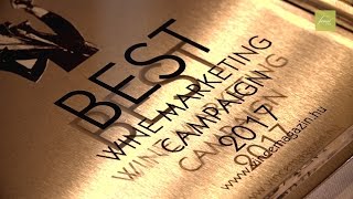 FurmintUSA Wins Best Wine Marketing Campaign  VinCE Awards 2017 [upl. by Sidonius]