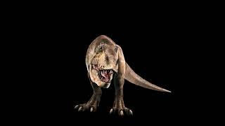 Animation 3D de lhologramme TRex x BAB2 Pays Basque [upl. by Yznyl686]