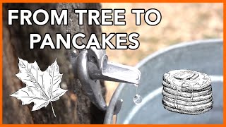 Making Maple Syrup at Home Start to Finish [upl. by Nager]