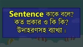 Sentence কাকে বলে Sentence কত প্রকার ও কি কি উদাহরণসহ ব্যাখ্যা  Grammar HUB [upl. by Proctor]