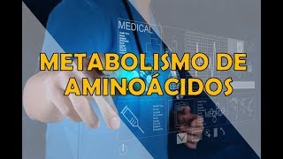 METABOLISMO DE AMINOÁCIDOS [upl. by Jennine]