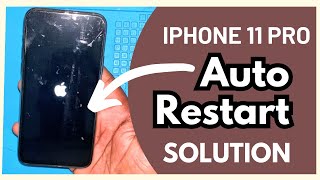 How To Fix Restart problem iPhone 11 Pro Apple logo Auto Restart issue  Hindi  🔥 [upl. by Shauna298]