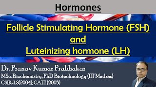 Gonadotropins Follicle Stimulating Hormone FSH and Luteinizing hormone LH [upl. by Ynattir749]