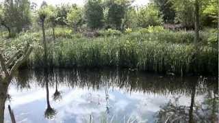 Roofvogeltuin De Havikshof in Klarenbeek [upl. by Magbie818]