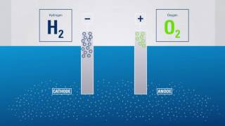 Electrolysis Producing hydrogen from water [upl. by Aveline]