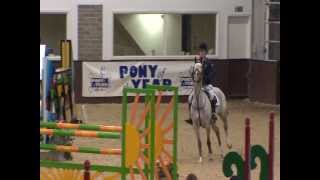 Showjumping  Pony of the Year 2013 [upl. by Salomo]