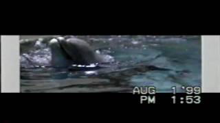 Vol 2 311 Marineland Canada 1999  The Sea Lion Seal amp Dolphin Show 1999 [upl. by Erwin]