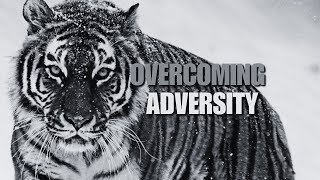 Overcome Adversity  Motivational Speech [upl. by Marr]