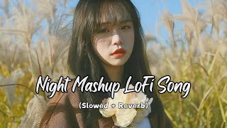 Night New Mashup song non stop lofi song  Chillout Lofi Mix  sad song  love song [upl. by Napas]