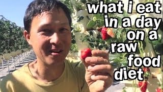 What I Eat in a Day on Raw Food Diet When I Travel [upl. by Tatianas47]