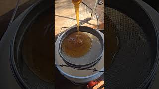 Let The Honey Flow powellfamhomestead honeybee honey extraction [upl. by Peter]