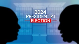 LIVE Election 2024 [upl. by Jennee281]