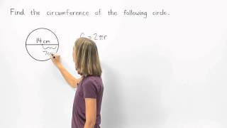 Circumference of a Circle  MathHelpcom [upl. by Yoho]