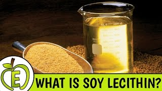 Soy Lecithin Why It Is Bad For You [upl. by Gayleen161]